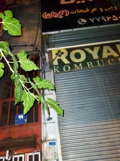 عکس عطاری پروین(گربان)