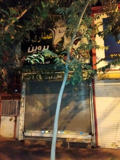 عکس عطاری پروین(گربان)