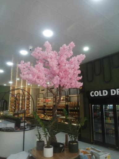 عکس آجیل سرای پیستاک