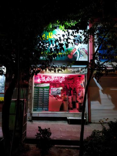 عطاری پروین(گربان)