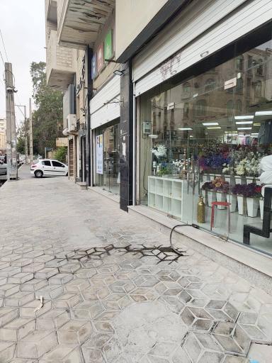 عکس تزیینات پارسیان 