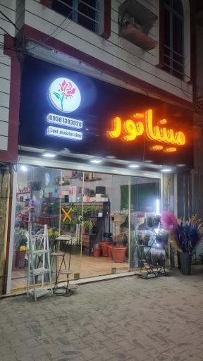 عکس مینیاتور