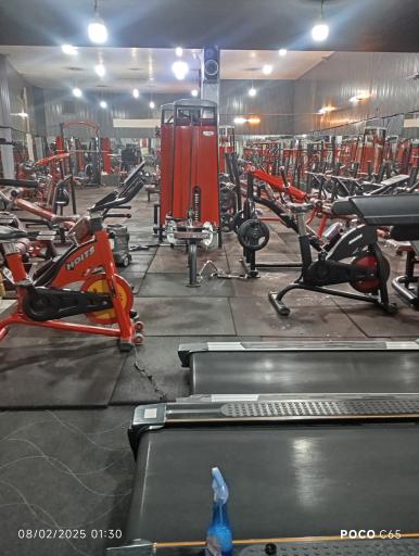 عکس بدنسازی پارسا