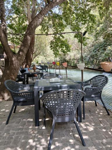 عکس رستوران شب نشین