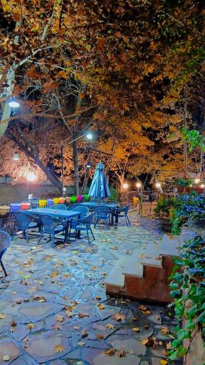 عکس رستوران شب نشین