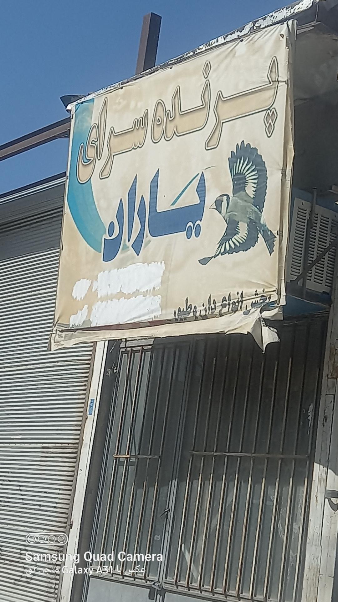 عکس پرنده سرای یاران