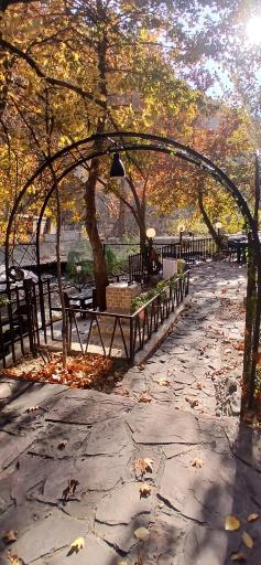 عکس رستوران شب نشین