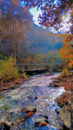 عکس رستوران شب نشین