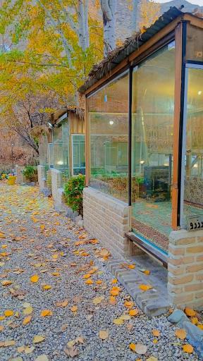 رستوران شب نشین