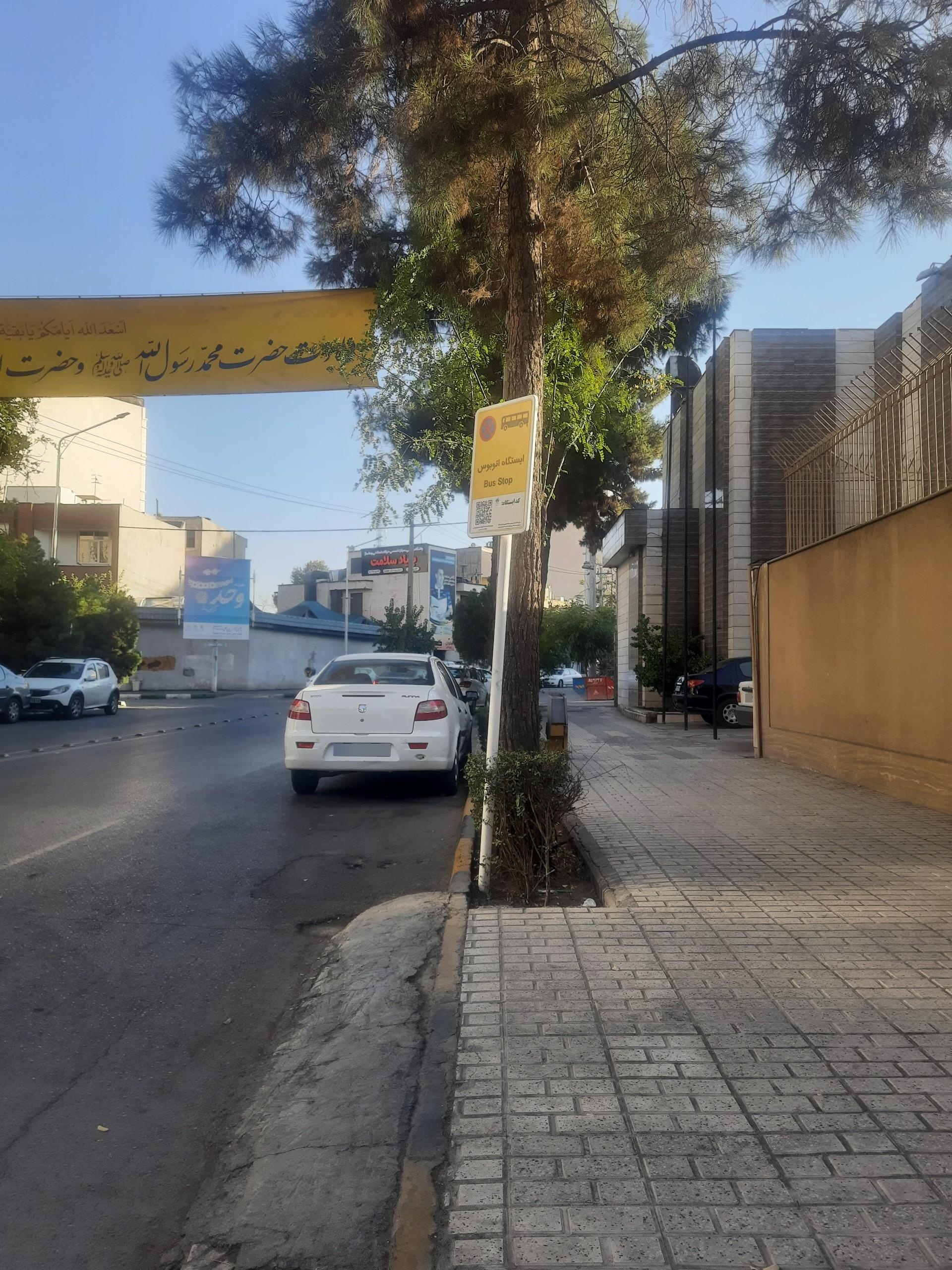 عکس  بزرگمهر 12