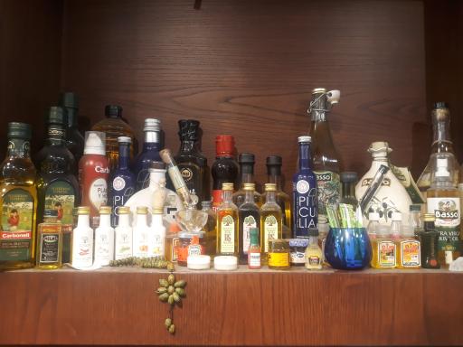 عکس خانه زیتون