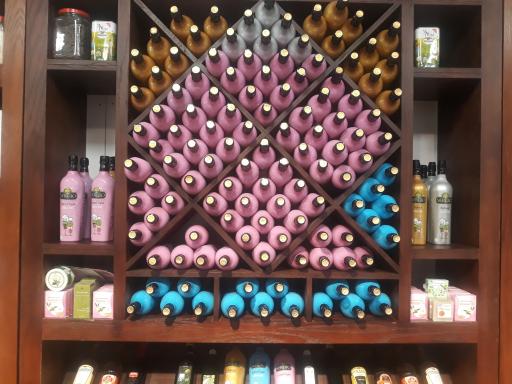 عکس خانه زیتون