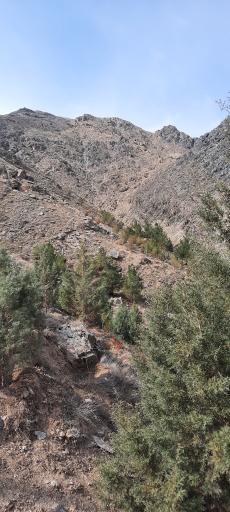 عکس دره توتی