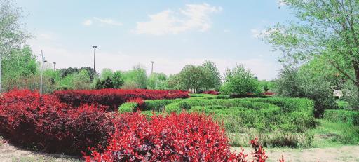 عکس پارک پرستار