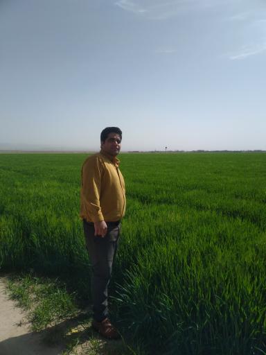 عکس رباط سنگ