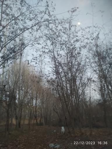 عکس رباط سنگ