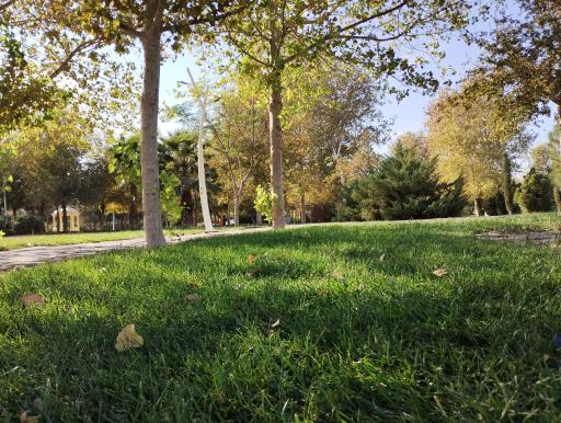 عکس پارک پرستار