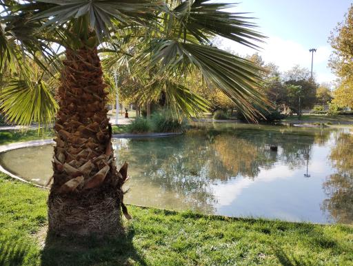 عکس پارک پرستار