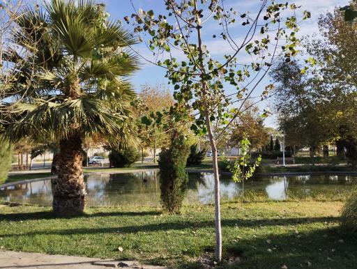 عکس پارک پرستار