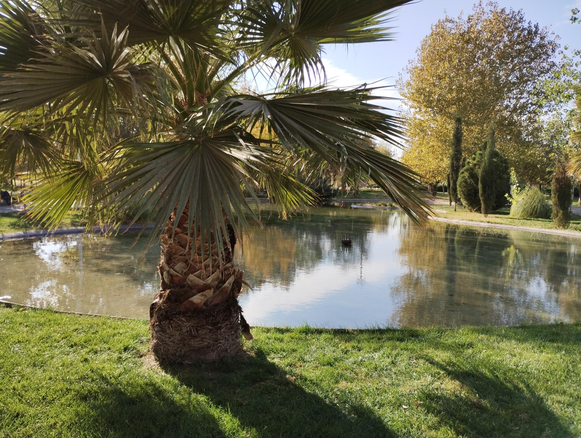 عکس پارک پرستار