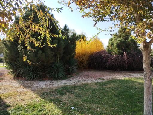 عکس پارک پرستار