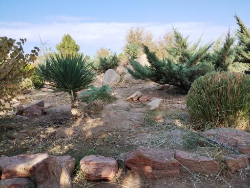 عکس پارک پرستار