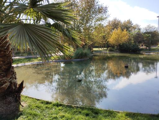 عکس پارک پرستار