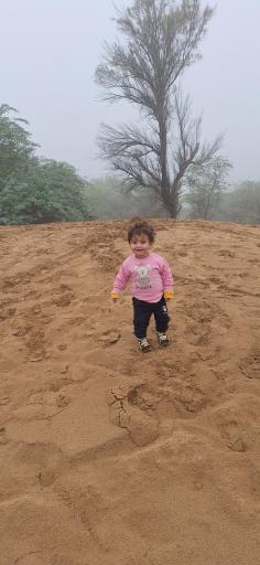 عکس جنگل حمیدیه