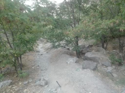 عکس دره توتی