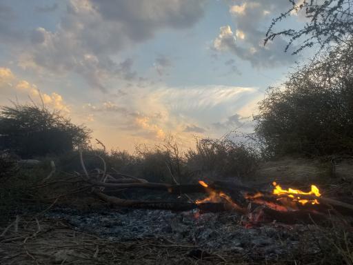 عکس جنگل حمیدیه