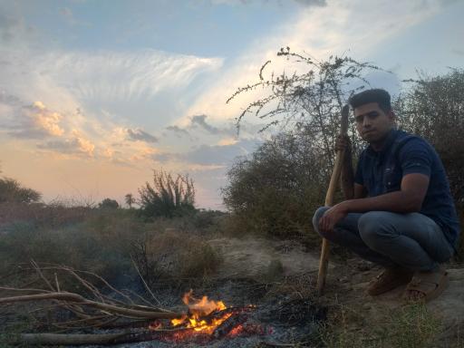 عکس جنگل حمیدیه