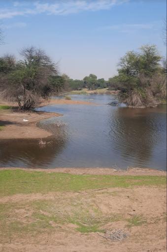 عکس جنگل حمیدیه