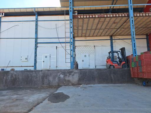 عکس مجموعه سردخانه و سورتینگ عیوضی