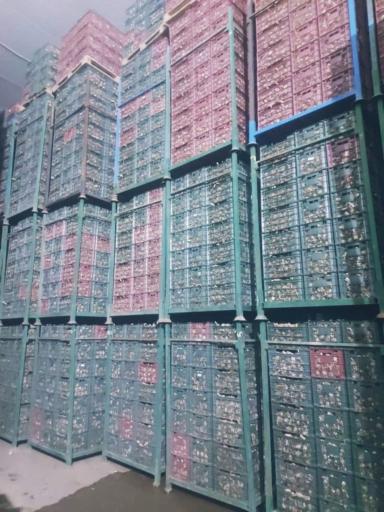 عکس مجموعه سردخانه و سورتینگ عیوضی