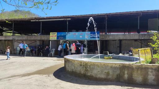 عکس پرورش ماهی فرهادی