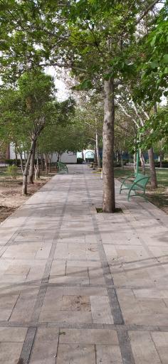 عکس بوستان شهدای گمنام (سپیدار سابق)