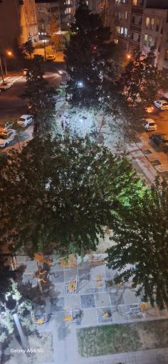 عکس پارک استوار