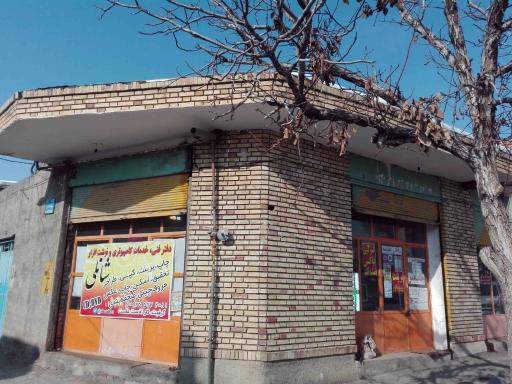 عکس شانلی ارتباط خامنه