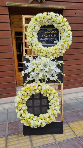 عکس گل مینیاتور شهرکرد