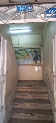 عکس عکاسی پرستو 