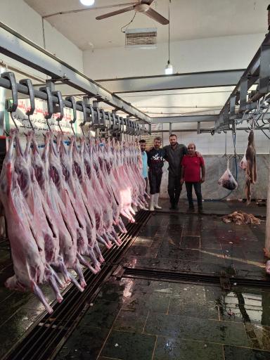 عکس سوپر گوشت روژان