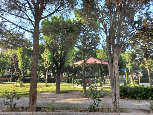 عکس بوستان شقایق