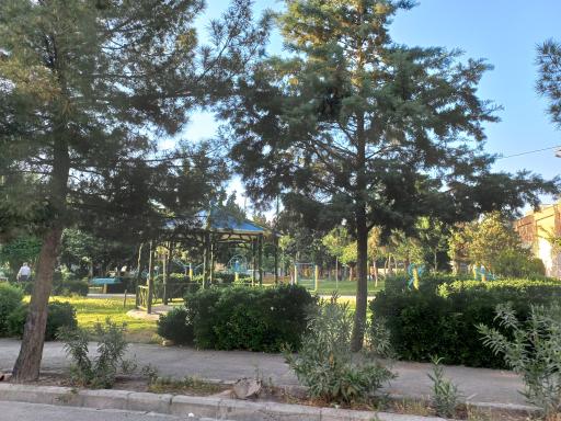 عکس بوستان شقایق