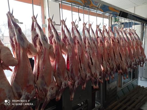 عکس سوپر گوشت روژان