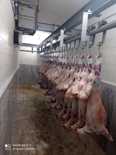 عکس سوپر گوشت روژان