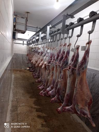 عکس سوپر گوشت روژان