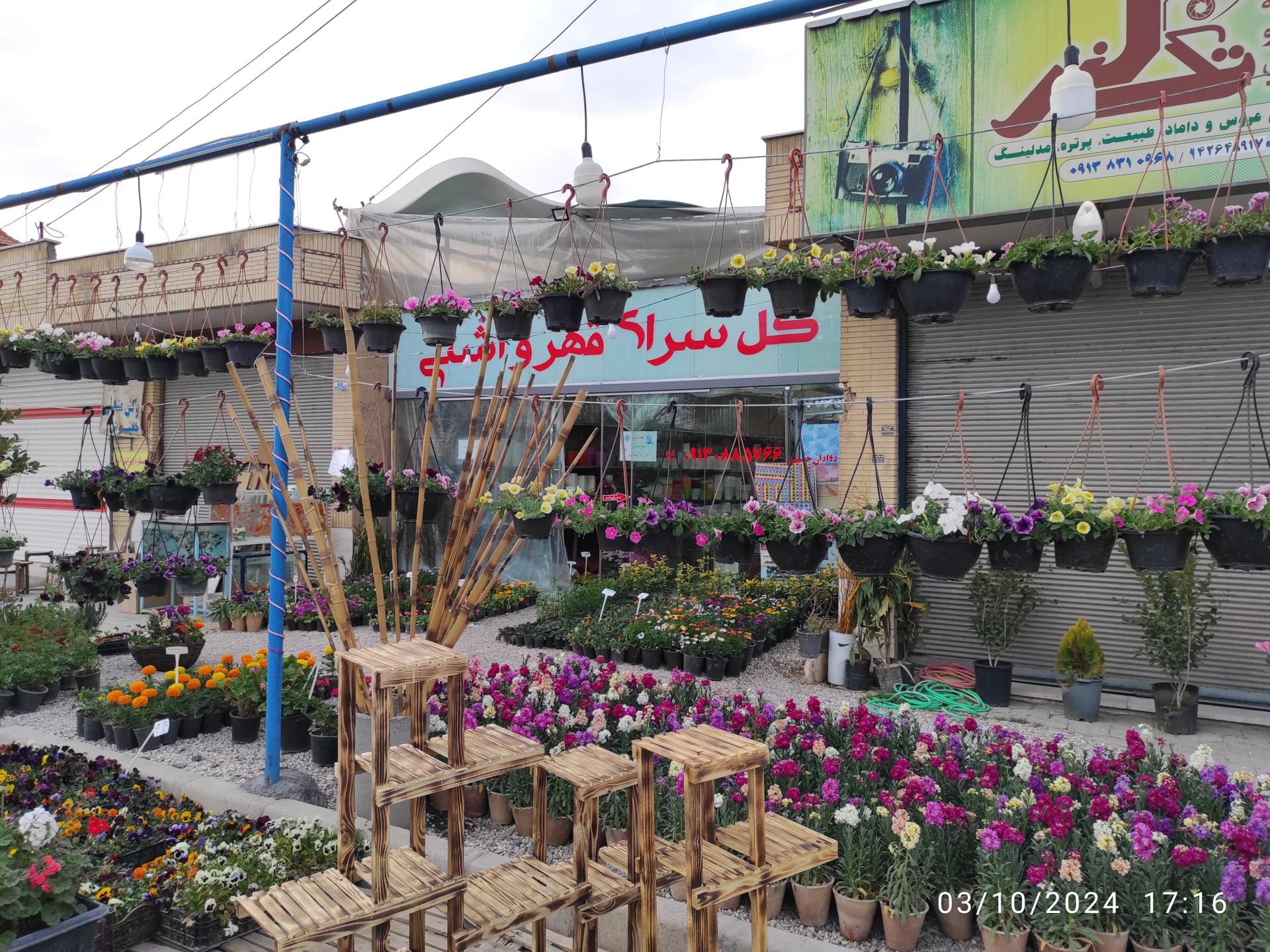 عکس گل سرای قهر و آشتی 