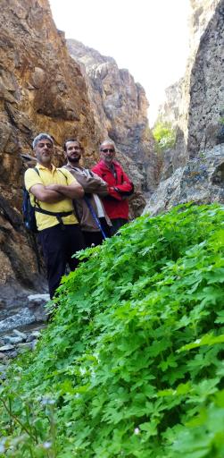 عکس آبشار خرجال
