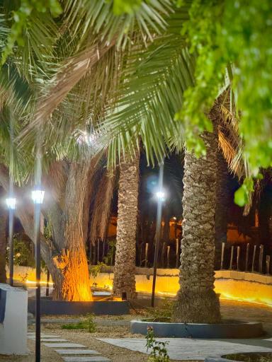 عکس باغ رستوران خاصه 