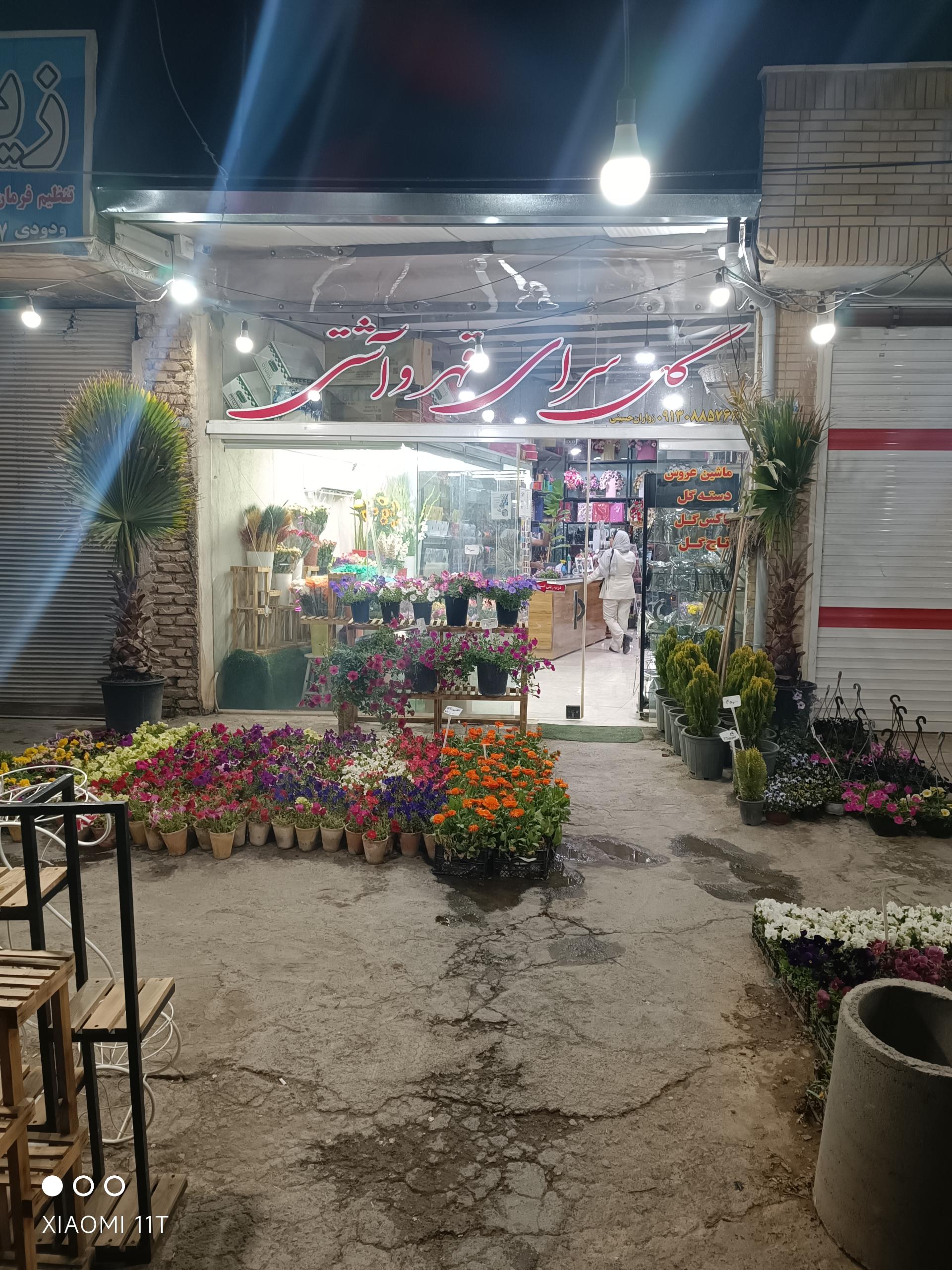 عکس گل سرای قهر و آشتی 